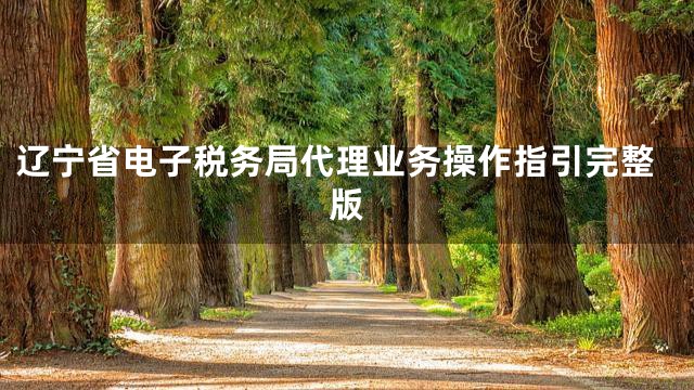 辽宁省电子税务局代理业务操作指引完整版