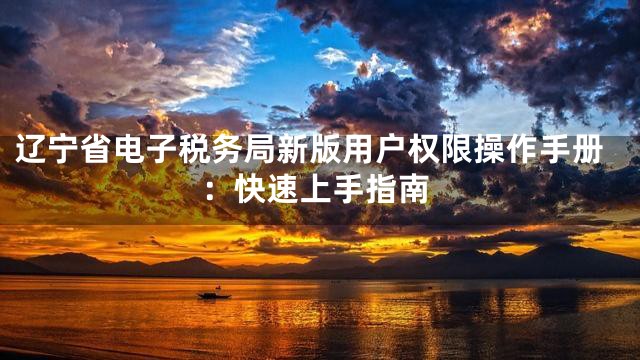 辽宁省电子税务局新版用户权限操作手册：快速上手指南