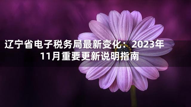 辽宁省电子税务局最新变化：2023年11月重要更新说明指南