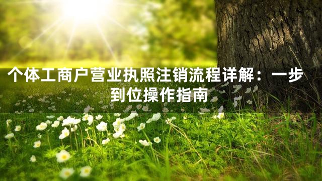 个体工商户营业执照注销流程详解：一步到位操作指南