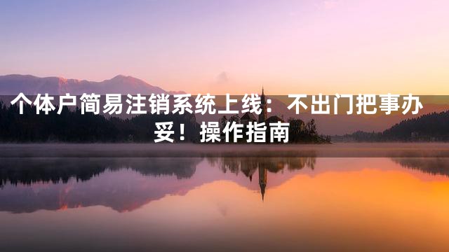 个体户简易注销系统上线：不出门把事办妥！操作指南