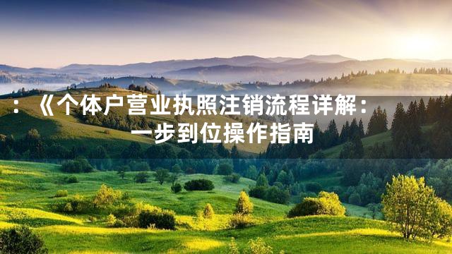 ：《

个体户营业执照注销流程详解：一步到位操作指南