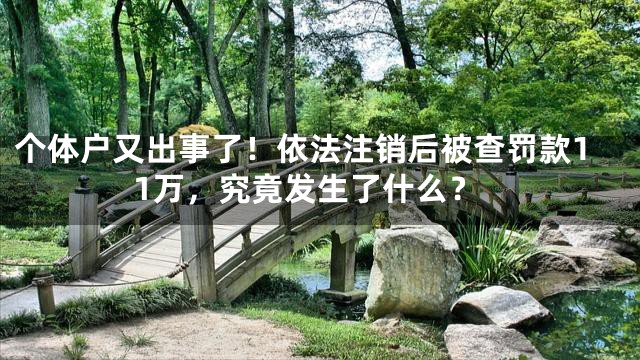 个体户又出事了！依法注销后被查罚款11万，究竟发生了什么？