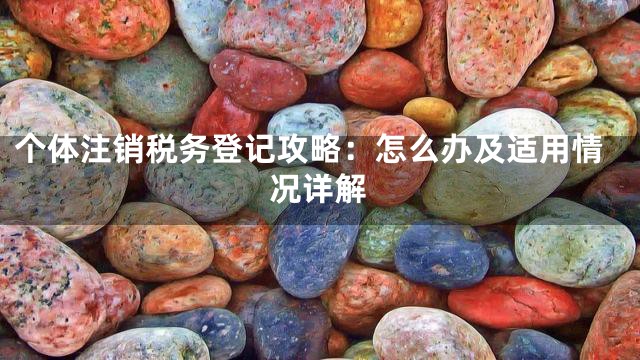 个体注销税务登记攻略：怎么办及适用情况详解