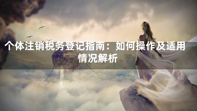 个体注销税务登记指南：如何操作及适用情况解析