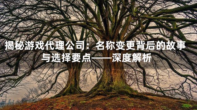 揭秘游戏代理公司：名称变更背后的故事与选择要点——深度解析