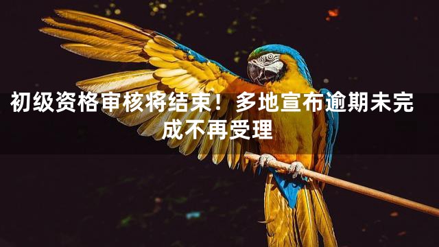初级资格审核将结束！多地宣布逾期未完成不再受理