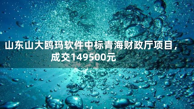 山东山大鸥玛软件中标青海财政厅项目，成交149500元