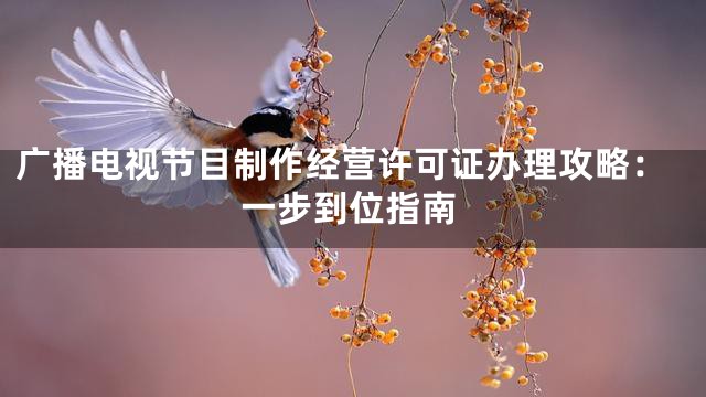 广播电视节目制作经营许可证办理攻略：一步到位指南