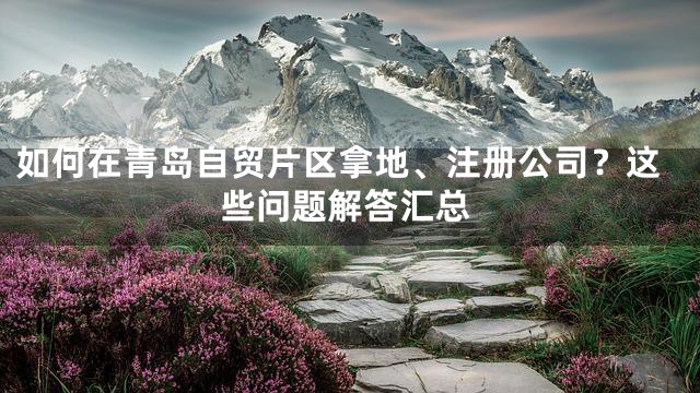如何在青岛自贸片区拿地、注册公司？这些问题解答汇总