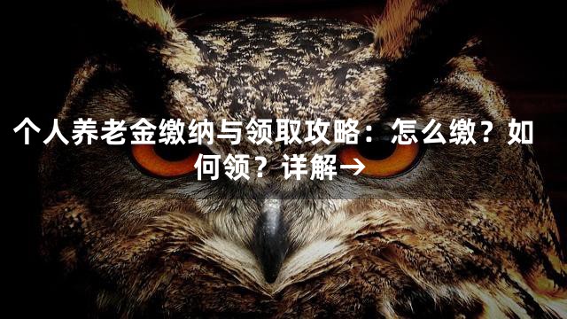 个人养老金缴纳与领取攻略：怎么缴？如何领？详解→