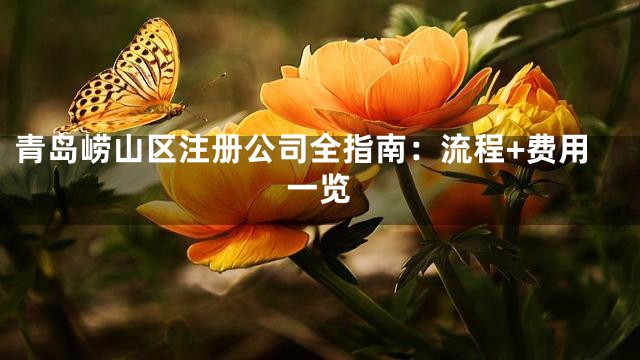 青岛崂山区注册公司全指南：流程+费用一览