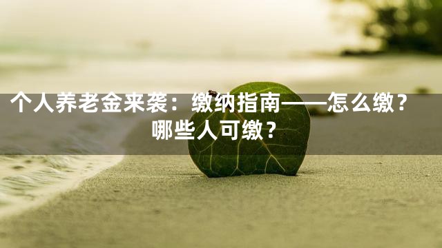 个人养老金来袭：缴纳指南——怎么缴？哪些人可缴？