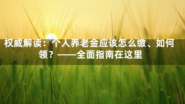 权威解读：个人养老金应该怎么缴、如何领？——全面指南在这里