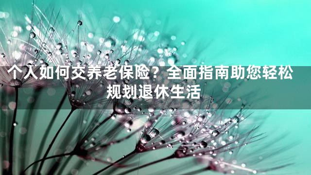 个人如何交养老保险？全面指南助您轻松规划退休生活