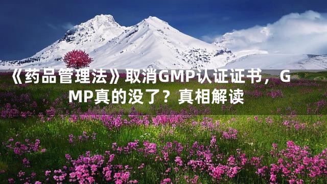 《药品管理法》取消GMP认证证书，GMP真的没了？真相解读