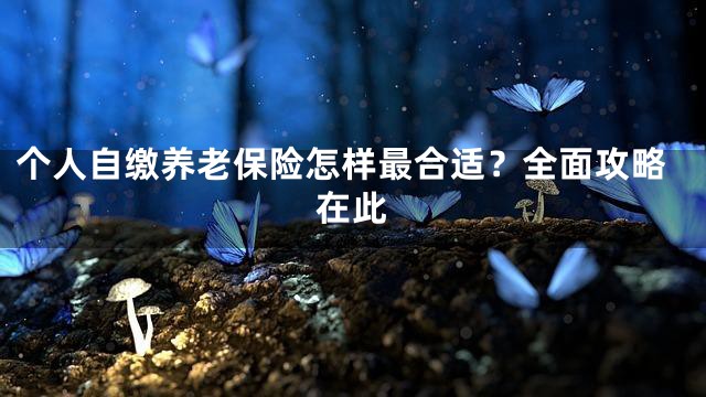 个人自缴养老保险怎样最合适？全面攻略在此