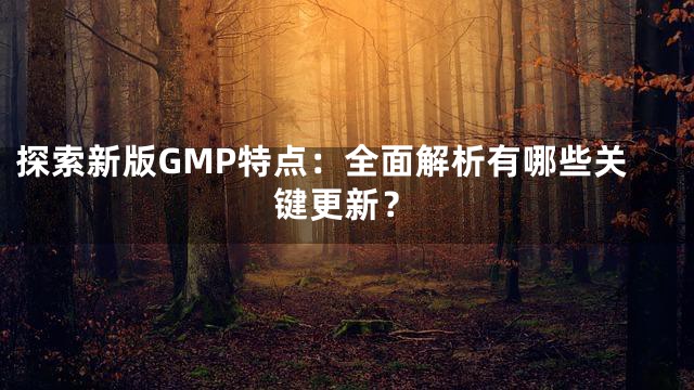 探索新版GMP特点：全面解析有哪些关键更新？