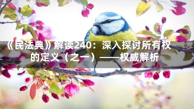 《民法典》解读240：深入探讨所有权的定义（之一）——权威解析