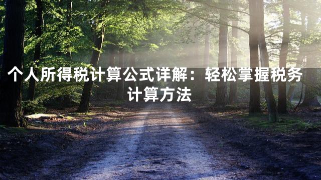 个人所得税计算公式详解：轻松掌握税务计算方法