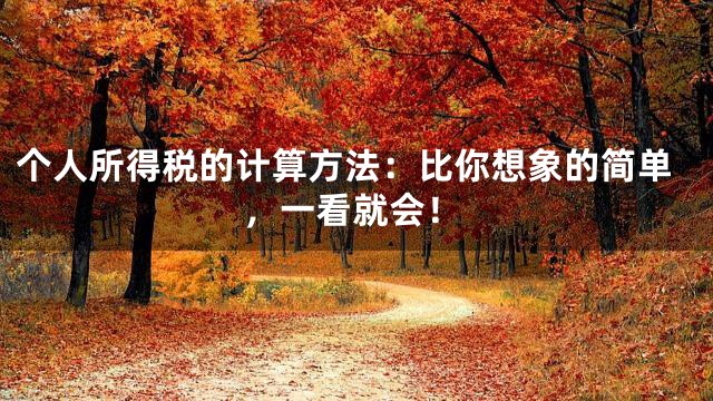 个人所得税的计算方法：比你想象的简单，一看就会！