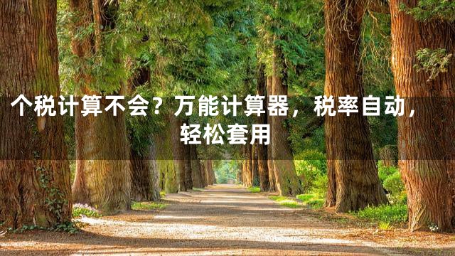 个税计算不会？万能计算器，税率自动，轻松套用