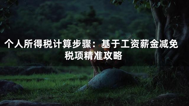 个人所得税计算步骤：基于工资薪金减免税项精准攻略