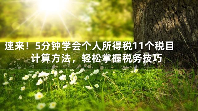 速来！5分钟学会个人所得税11个税目计算方法，轻松掌握税务技巧