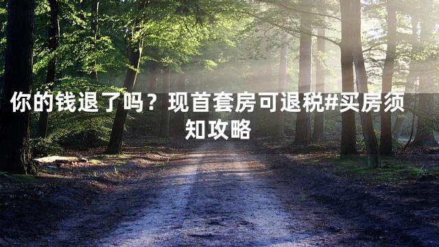 你的钱退了吗？现首套房可退税#买房须知攻略