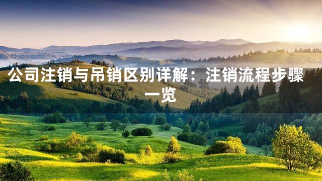 公司注销与吊销区别详解：注销流程步骤一览