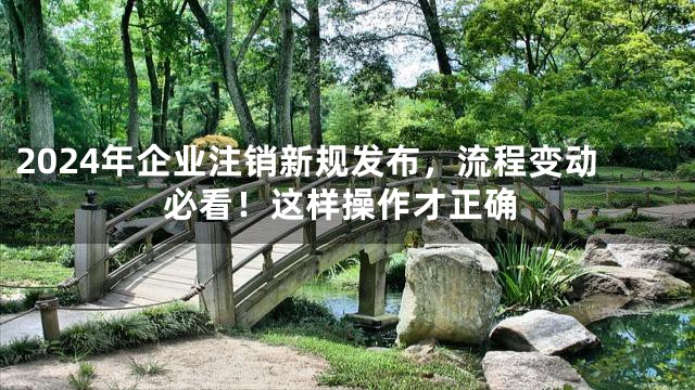 2024年企业注销新规发布，流程变动必看！这样操作才正确
