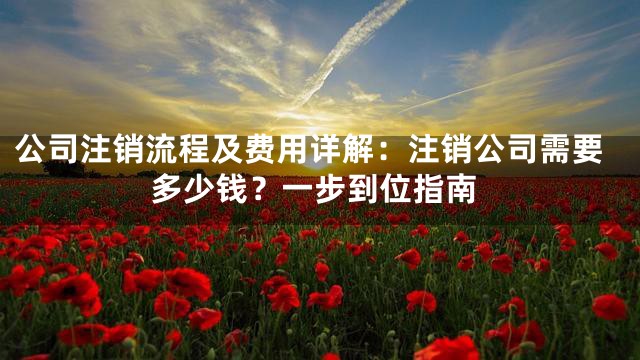公司注销流程及费用详解：注销公司需要多少钱？一步到位指南