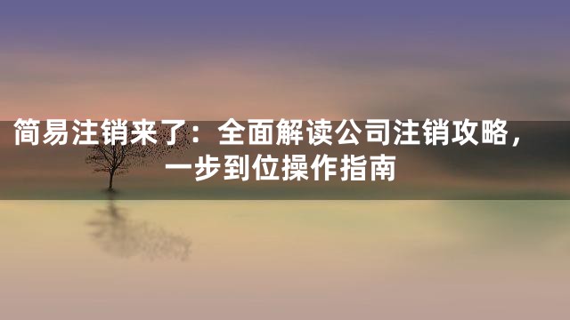 简易注销来了：全面解读公司注销攻略，一步到位操作指南
