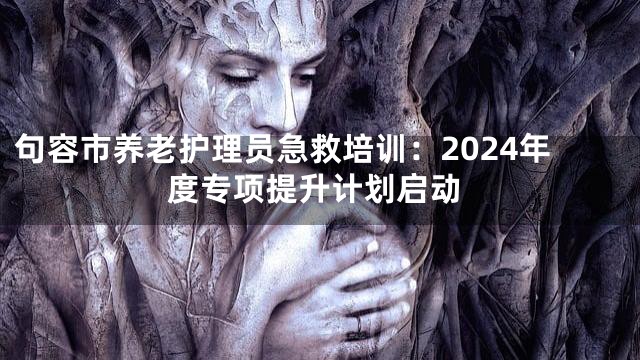 句容市养老护理员急救培训：2024年度专项提升计划启动