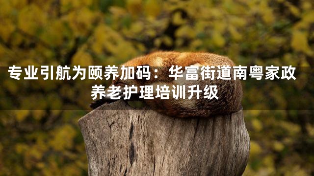专业引航为颐养加码：华富街道南粤家政养老护理培训升级