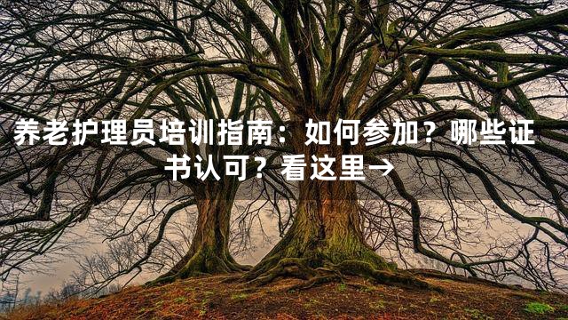 养老护理员培训指南：如何参加？哪些证书认可？看这里→