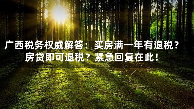 广西税务权威解答：买房满一年有退税？房贷即可退税？紧急回复在此！