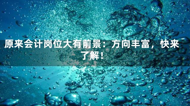 原来会计岗位大有前景：方向丰富，快来了解！