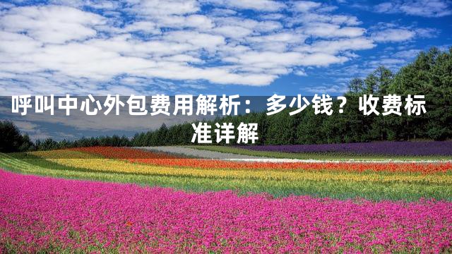 呼叫中心外包费用解析：多少钱？收费标准详解