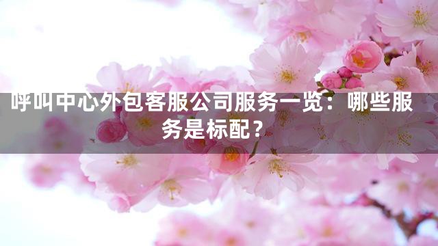 呼叫中心外包客服公司服务一览：哪些服务是标配？