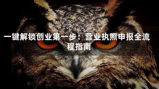 一键解锁创业第一步：营业执照申报全流程指南