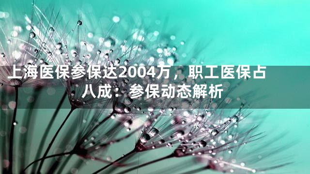 上海医保参保达2004万，职工医保占八成：参保动态解析