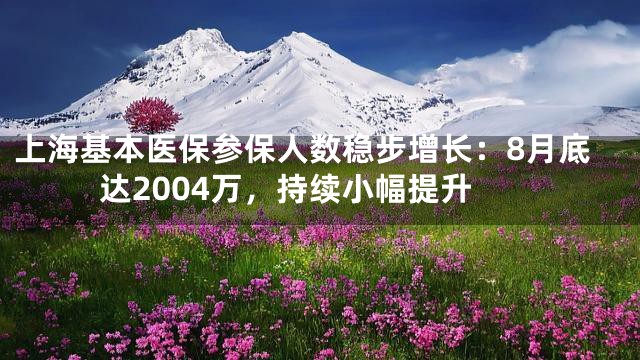 上海基本医保参保人数稳步增长：8月底达2004万，持续小幅提升