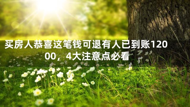 买房人恭喜这笔钱可退有人已到账12000，4大注意点必看