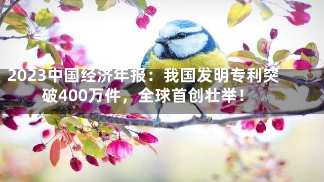 2023中国经济年报：我国发明专利突破400万件，全球首创壮举！