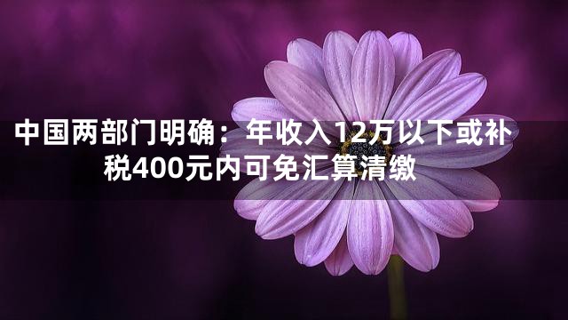 中国两部门明确：年收入12万以下或补税400元内可免汇算清缴