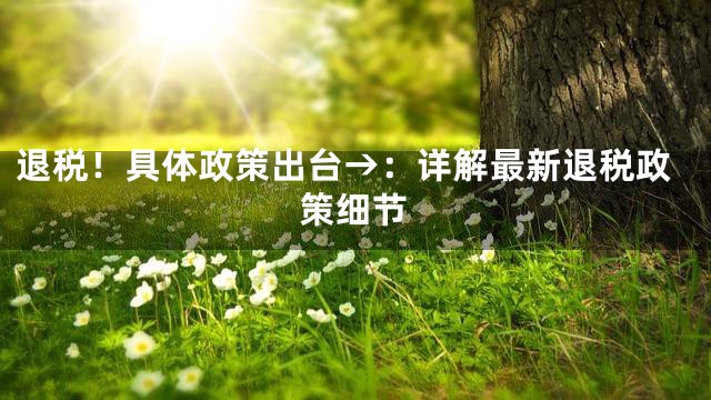 退税！具体政策出台→：详解最新退税政策细节