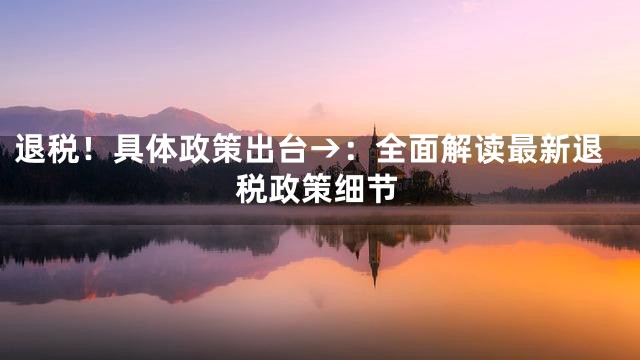 退税！具体政策出台→：全面解读最新退税政策细节