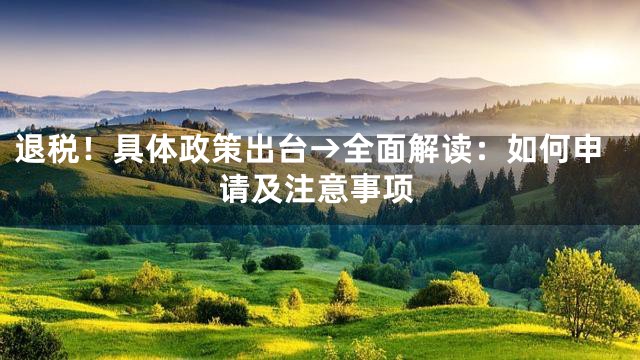 退税！具体政策出台→全面解读：如何申请及注意事项
