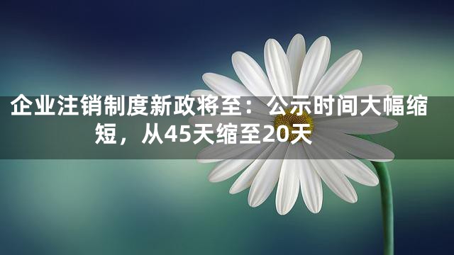 企业注销制度新政将至：公示时间大幅缩短，从45天缩至20天